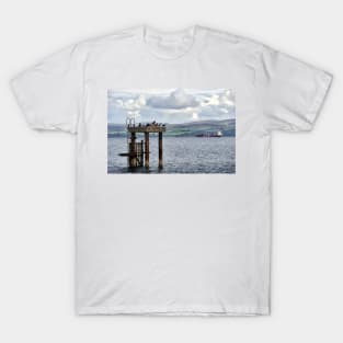 Guillemots resting on an old mooring - Mount Stewart, Bute, Scotland T-Shirt